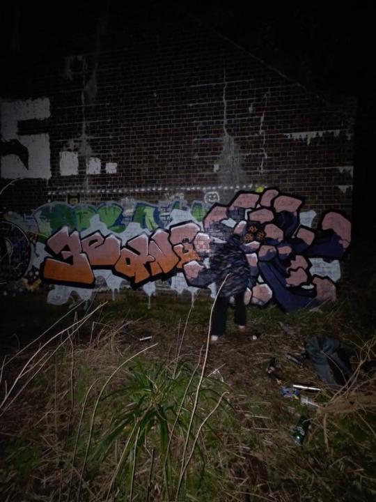 Ended up painting into the darkness yesterday 