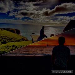 Pablo Santander Torres