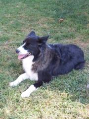Billie Jo Davidson