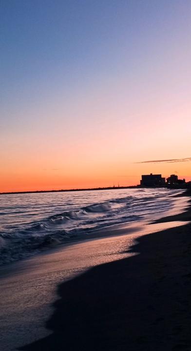 Silvia Ilika Shandro