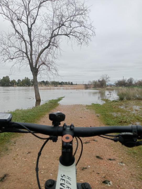 Manuel Ángel Nogueras Corral