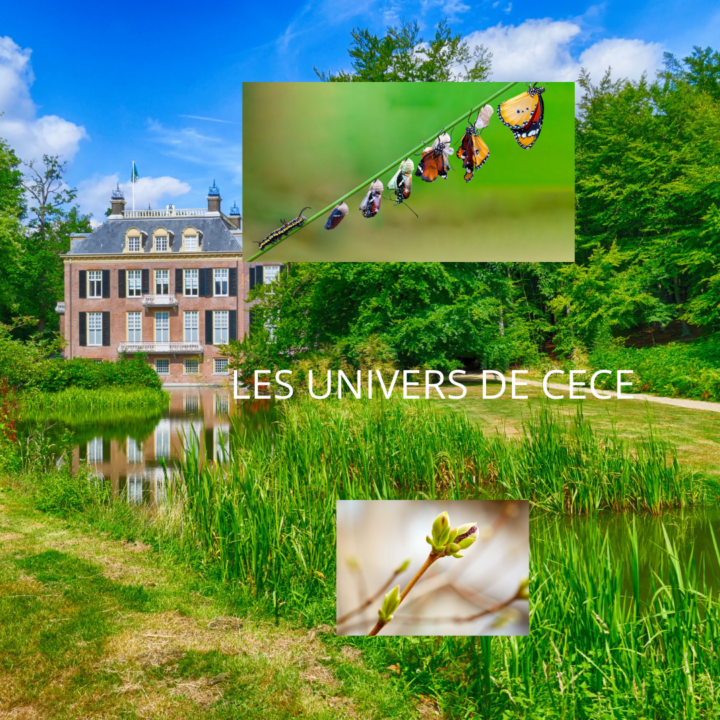 Retour sur livres de Cécile Pennequin