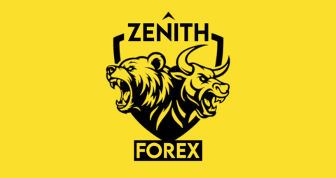 Zenith Forex  gallery image