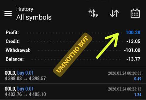 Daily target of $100 met with Umnotho 💃