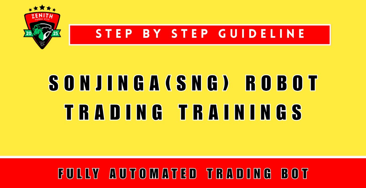 Sonjinga Robot Fully Automated Trading