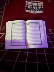 Belqis Alkaifi