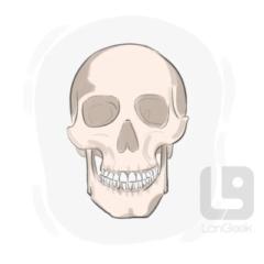 A A