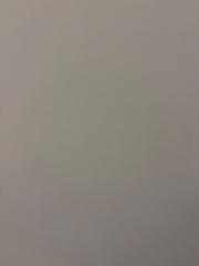 Нели Илиева