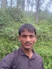 Singaravel G