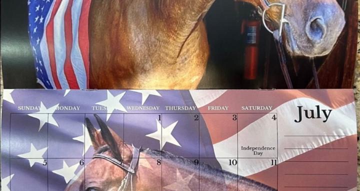 Standardbreds & Second Careers