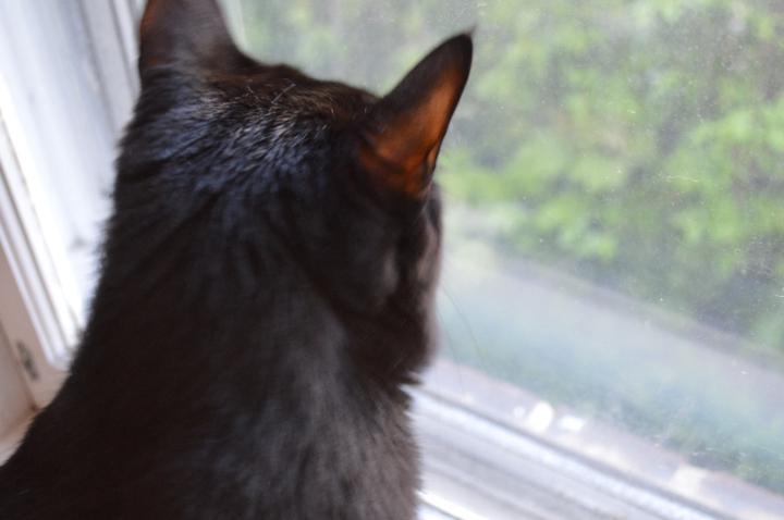 Janani Vasanthakumaran