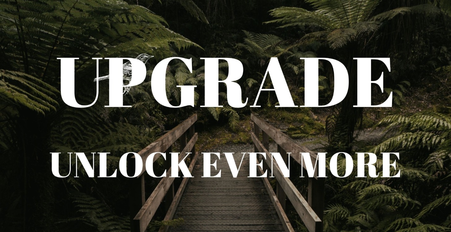 Accelerate Your Journey - Upgrade Account