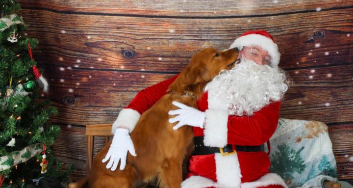 WSH Training Library