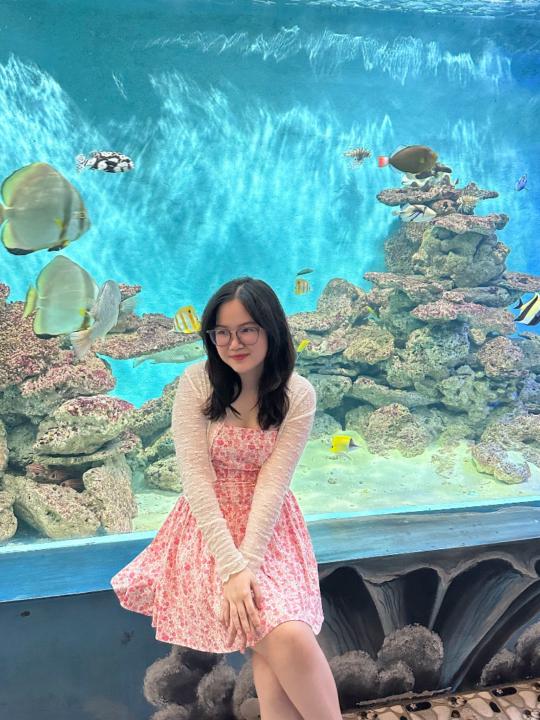 Hoài An Trương Lê
