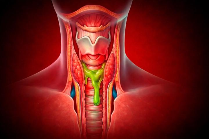 Bible mosaics Bible mosaics