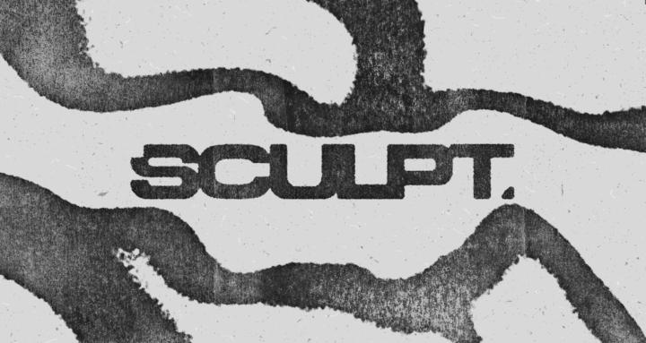 Sculpt Training Online