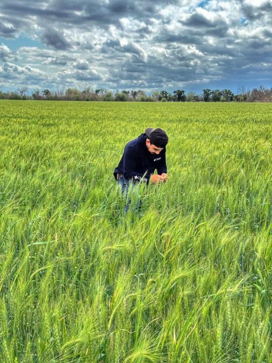 Alberto Guadalupe Garcia