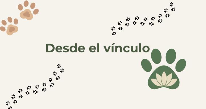 Desde el vínculo