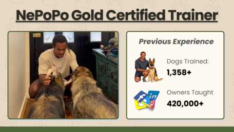 Apex Dog Training Community gallery image