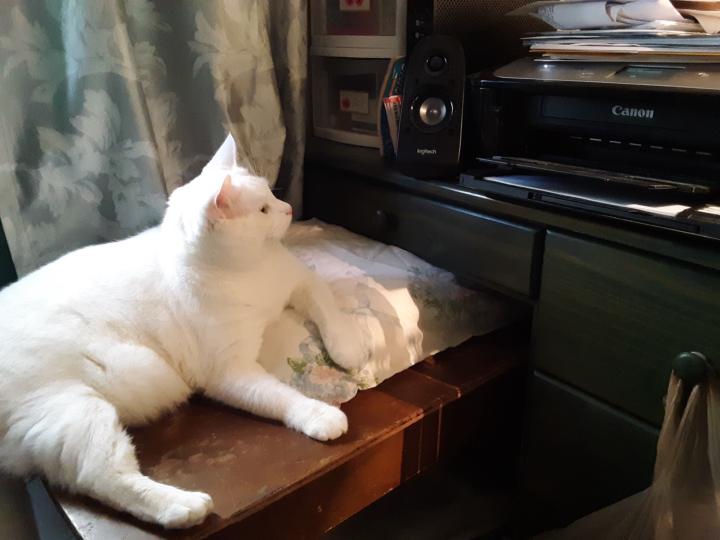 I've been looking for this