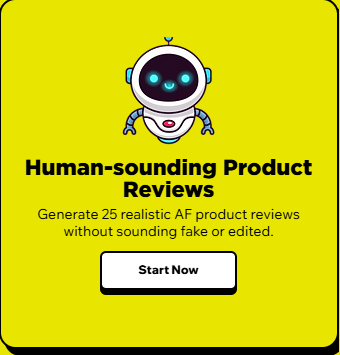 Level 3 Human-sounding Product Reviews