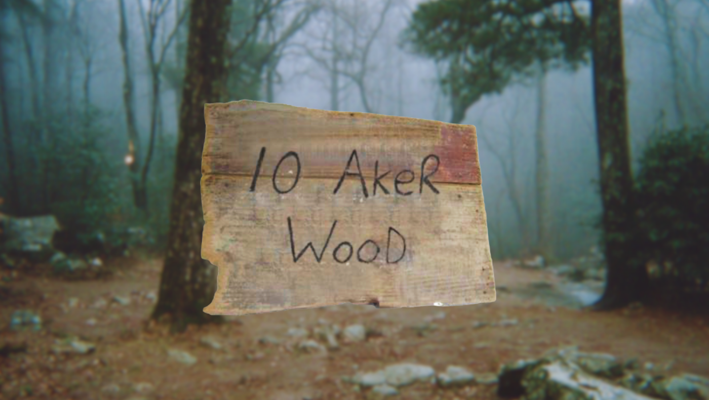 Ten Aker Wood