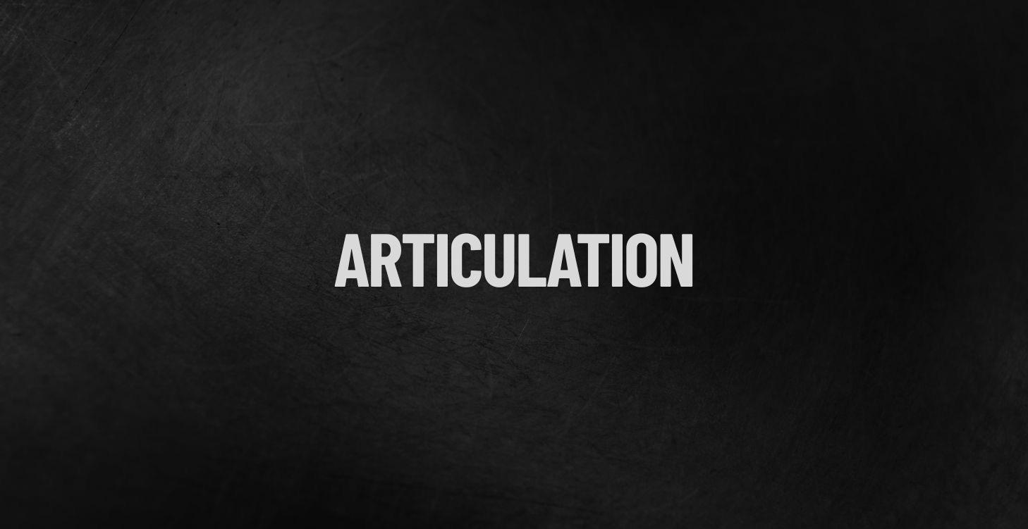 3 - Articulation