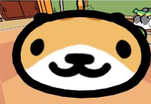 Jp C
