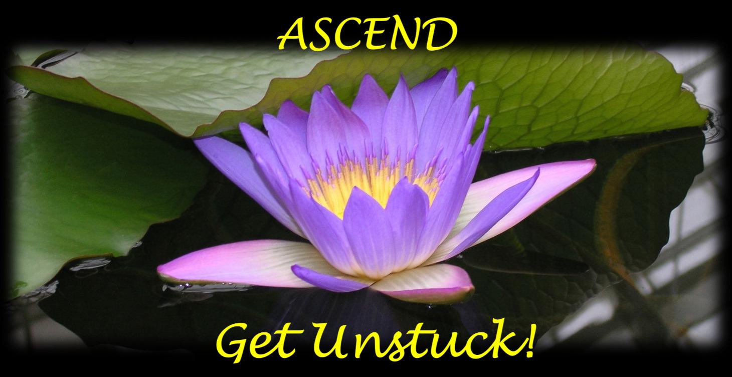 Unstuck! - Freedom to USE change