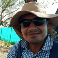 Tirso Montes