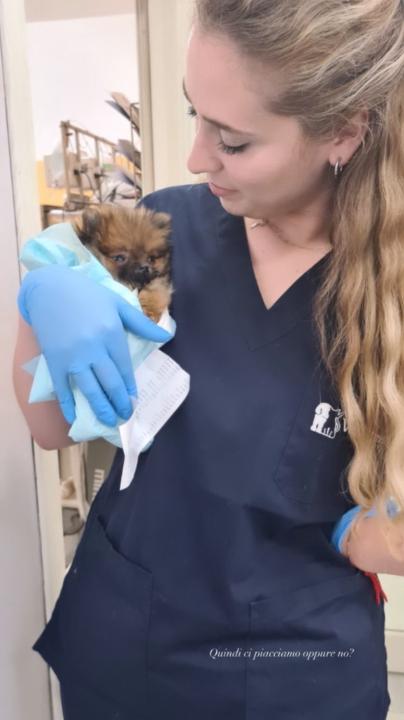 Styliani Maria Goula Flanagkan