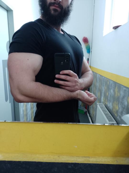 Lup Dragos