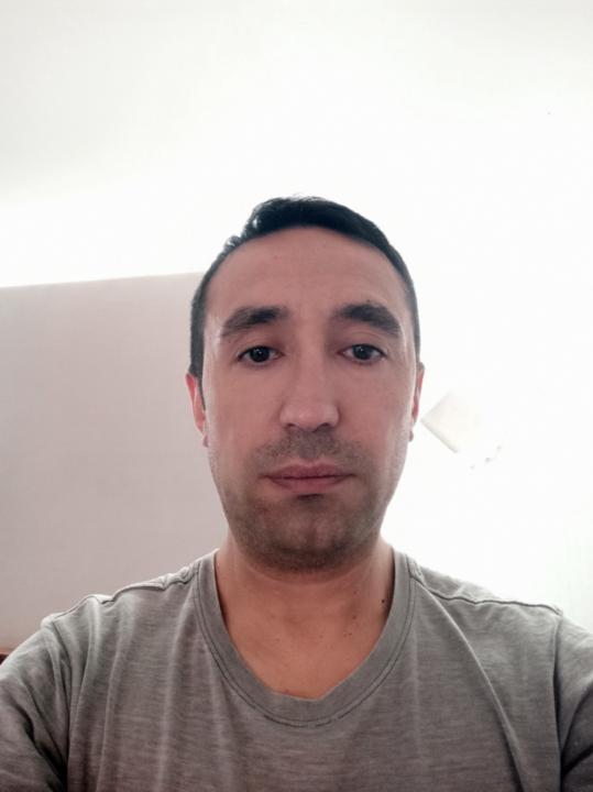Norton Ilave