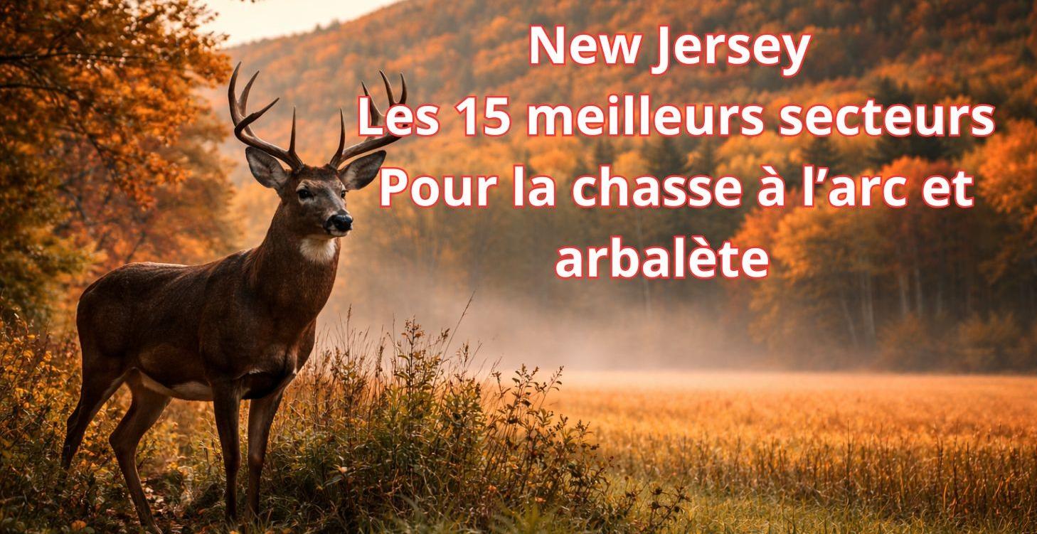New Jersey 15 meilleurs secteur