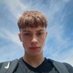 Flavio Bs