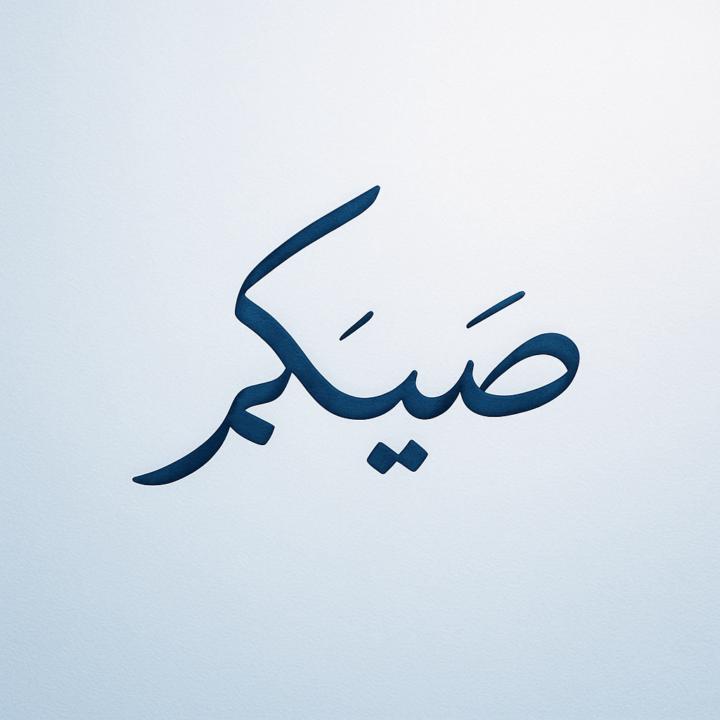 Aamer Asm