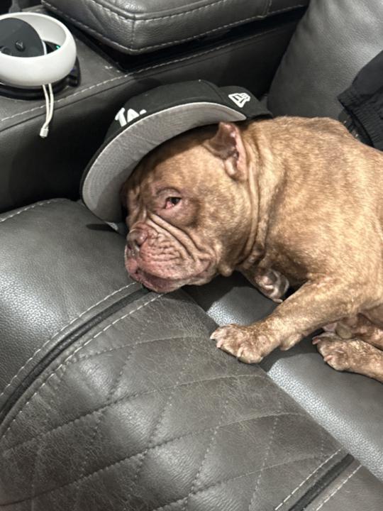 Concepcion Rodriguez