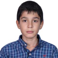 Ilya Mozaffari