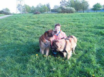 Brigitte Hartmann-Stamm