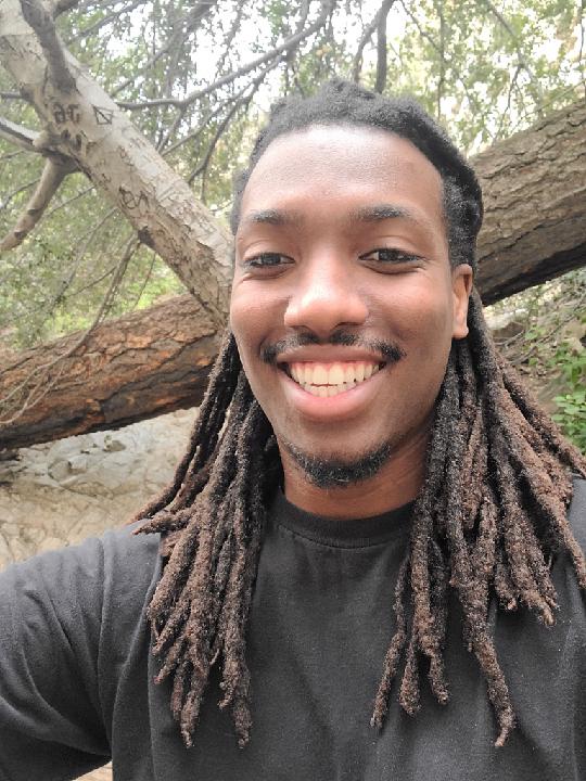 Roosevelt Townsend