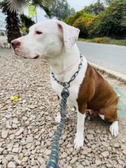 Evelyn Patricia Nuñez Lazo