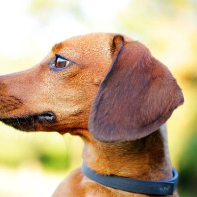 Víctor Alonso Arribas