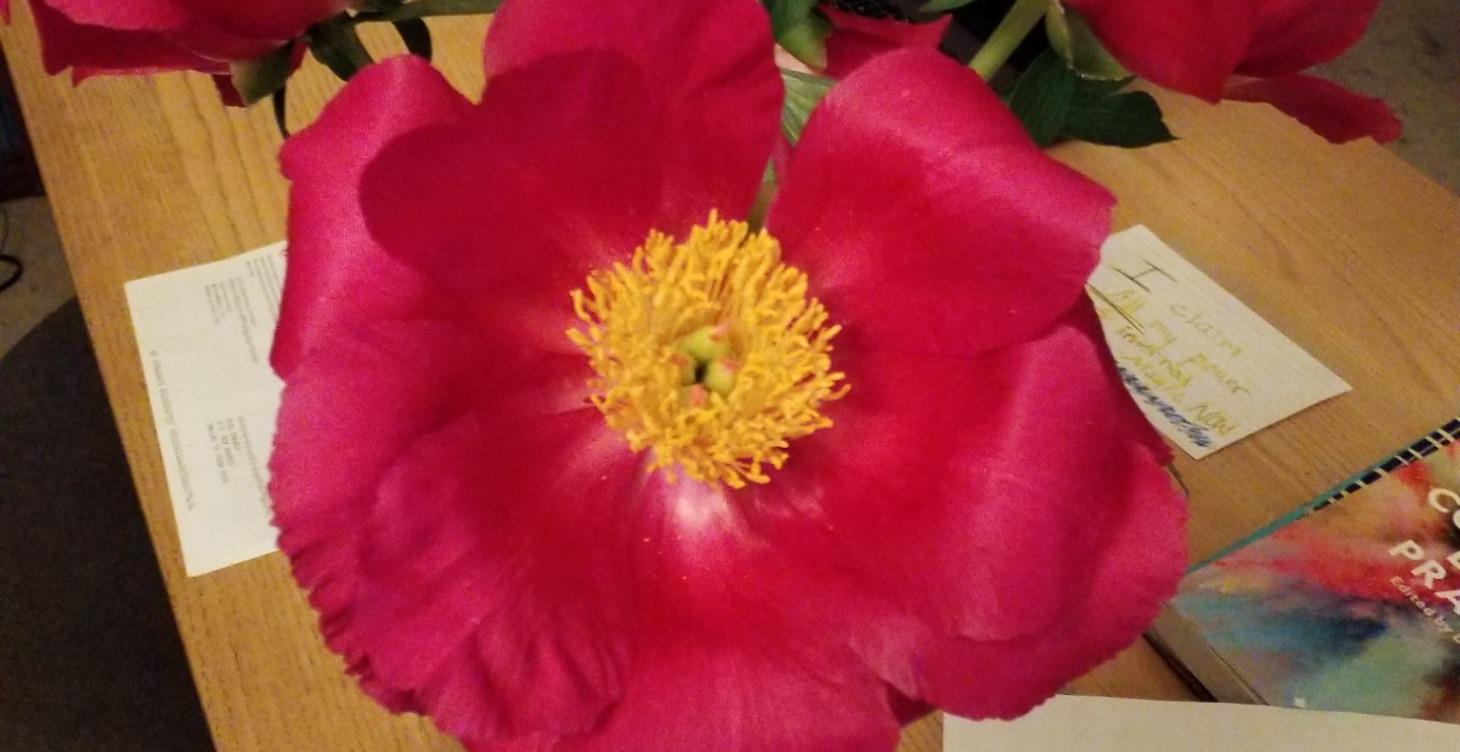 Lets get connected - root🌱 to crown 👑