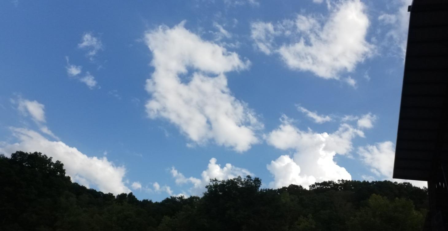 Morning Movement Squence