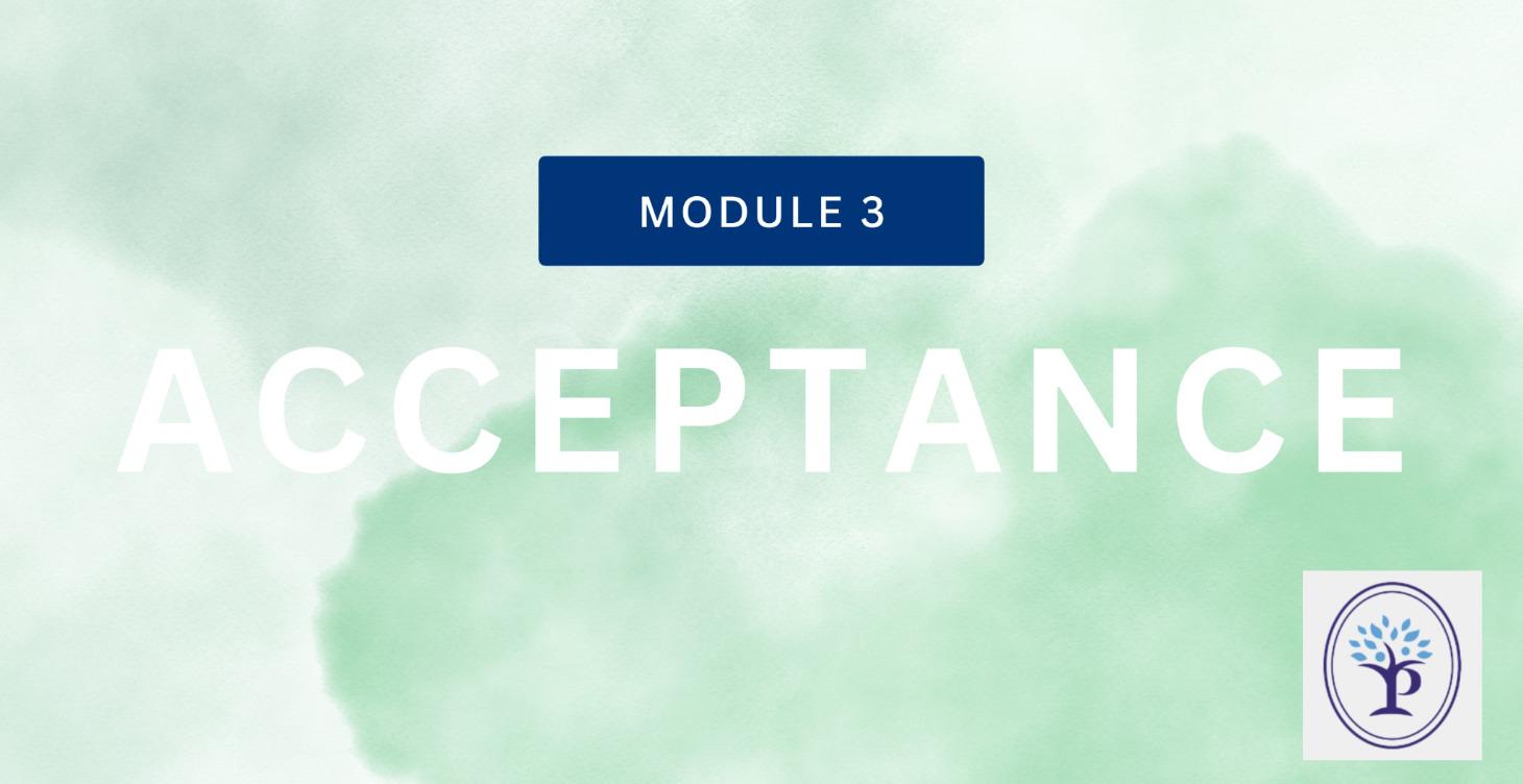 Module 3: Acceptance