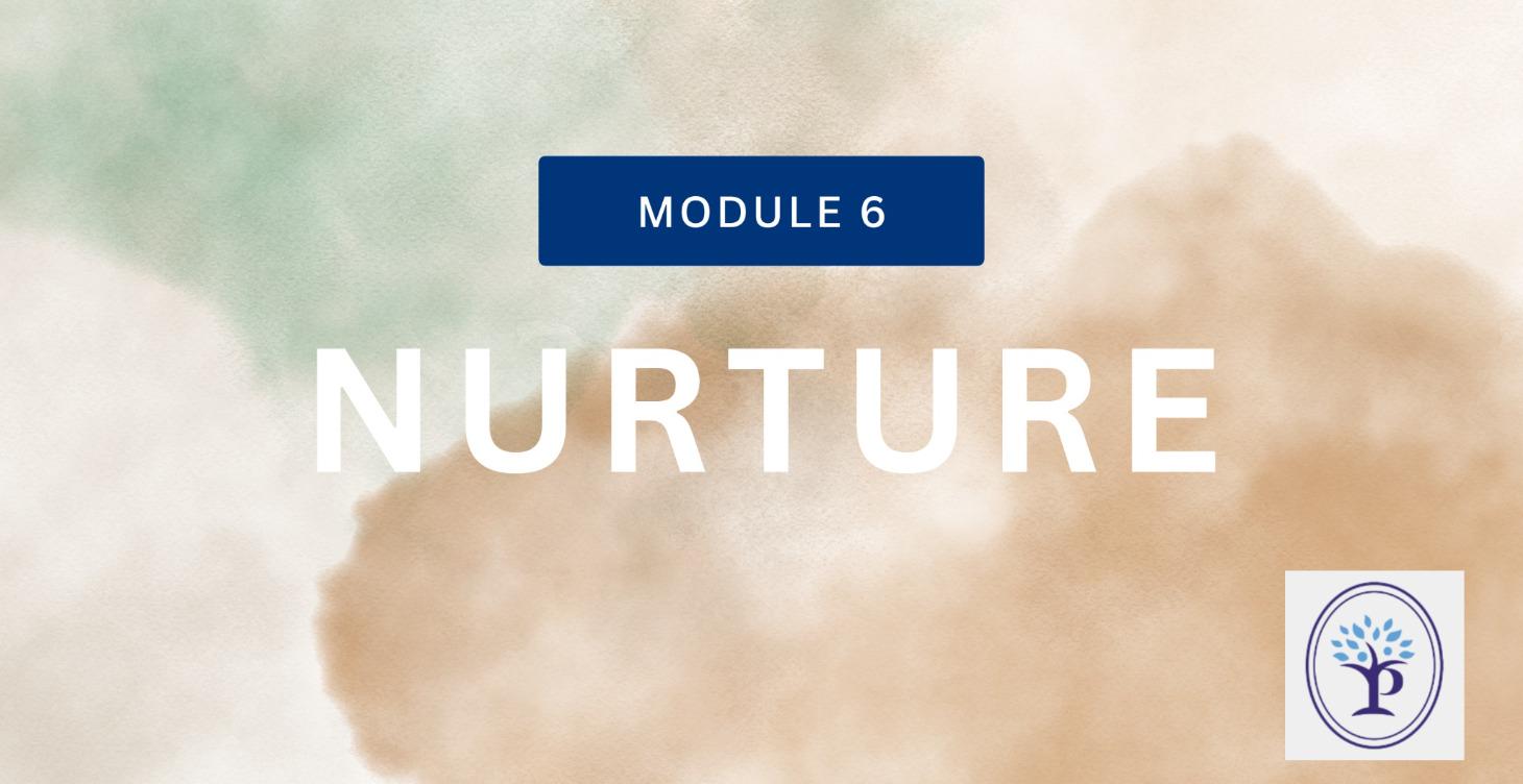 Module 6: Nurture