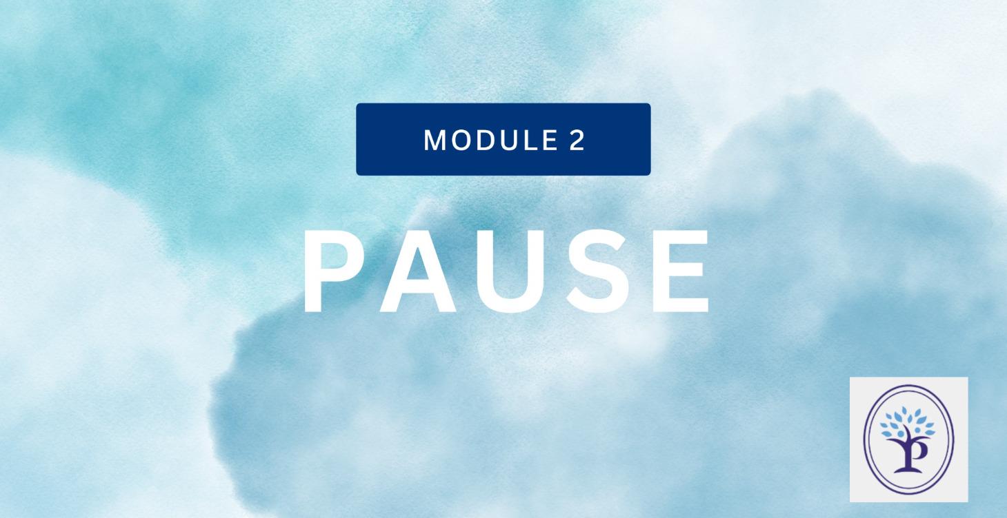 Module 2: Pause