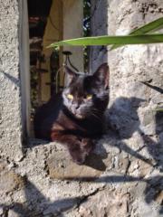 Dagmar Reichenbacher