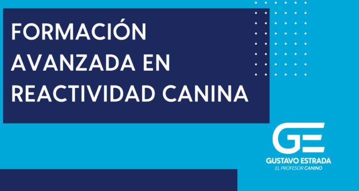 F.A. Reactividad Canina