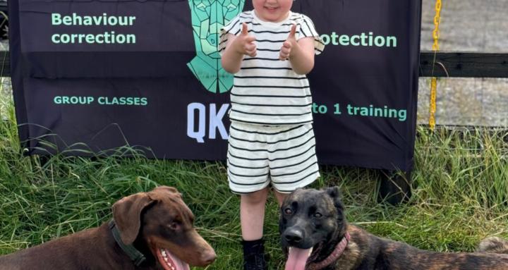 Real life dog training